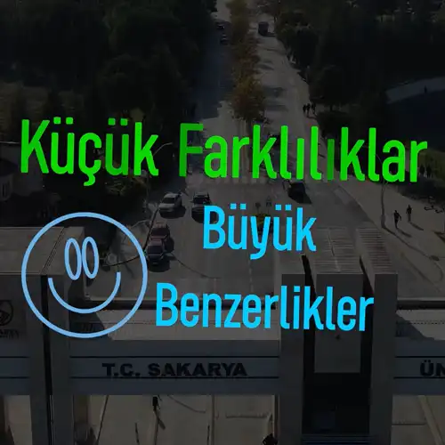 Dikey Video